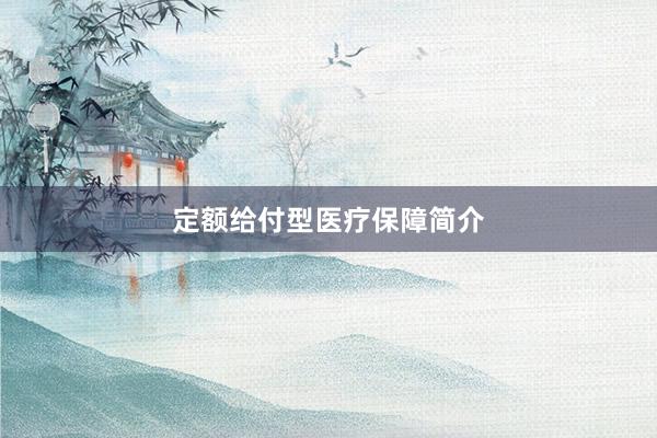 定额给付型医疗保障简介