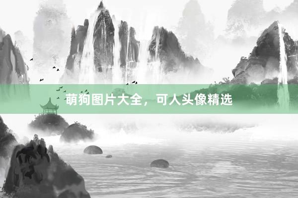 萌狗图片大全，可人头像精选