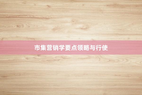 市集营销学要点领略与行使